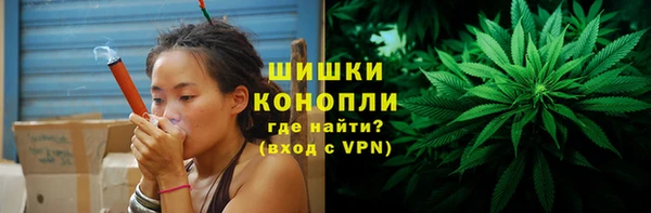 тгк Ладушкин