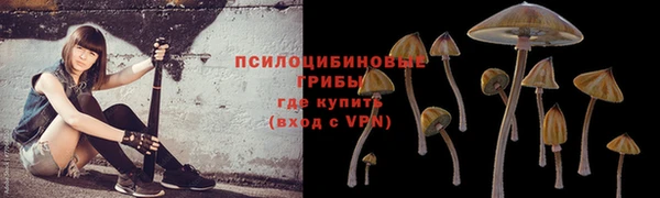 тгк Ладушкин