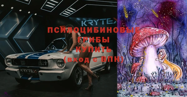 спайс Лагань