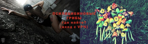 спайс Лагань