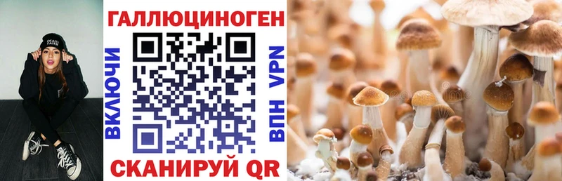 Купить где Сковородино Псилоцибиновые грибы ЛСД